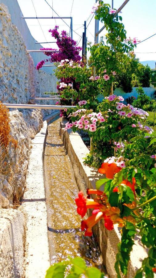 Villa Adelaida Orgiva Εξωτερικό φωτογραφία